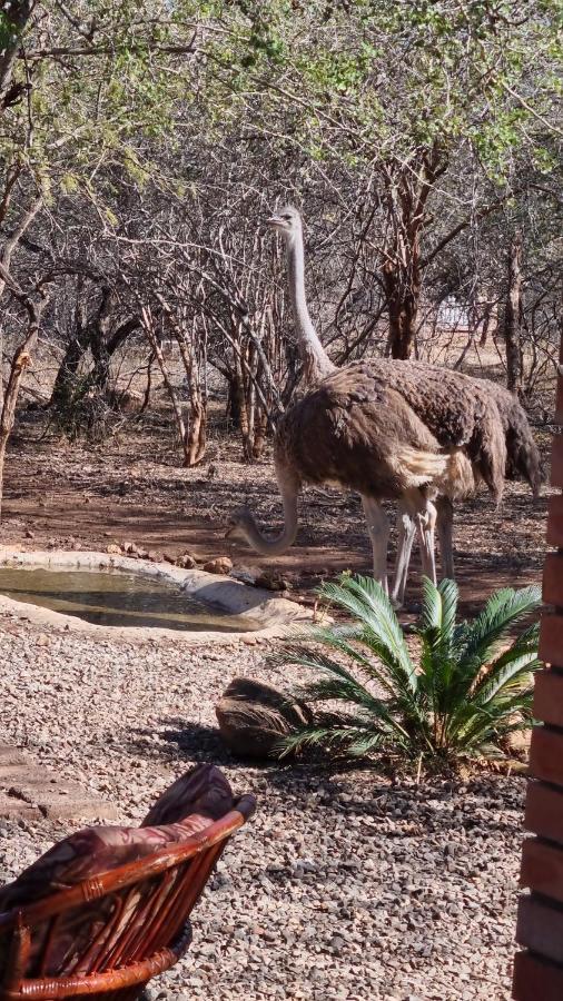 Raak Vir My Rustig Marloth Park Exterior photo